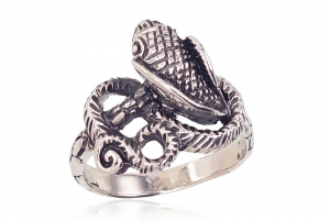 Silver ring