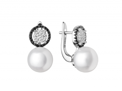 Hõbedased kõrvarõngad