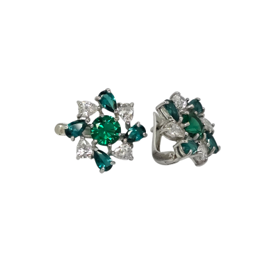 Hõbedased kõrvarõngad